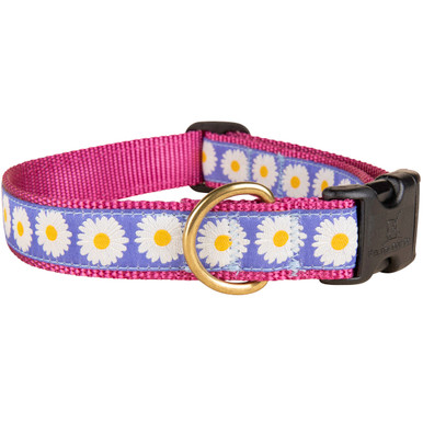 Daisies Dog Collar  1 Inch by Belted Cow Company. Maine In Maine