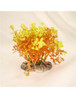 Aquarium Plant Orange Cluster Image