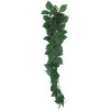 Komodo Ficus Silk Hanging Plant 45cm Medium - 82521