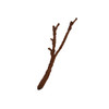 Komodo Vine Branch Large BROWN - 82704