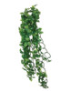 Komodo Split Philodendron Hanging Plant 40cm Medium - 82533