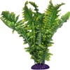 Komodo Boston Fern Small 25cm - 82510