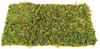 Komodo Natural Moss Mat Large Pack x 2 - 82741