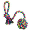 Pet Nova Ball on Rope Dog Toy 6cm