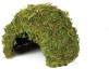 Komodo Natural Moss Cave Large - 82744