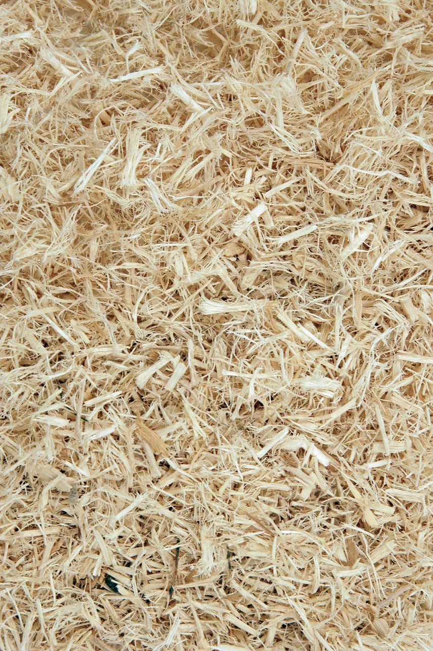 Komodo_aspen_closeup