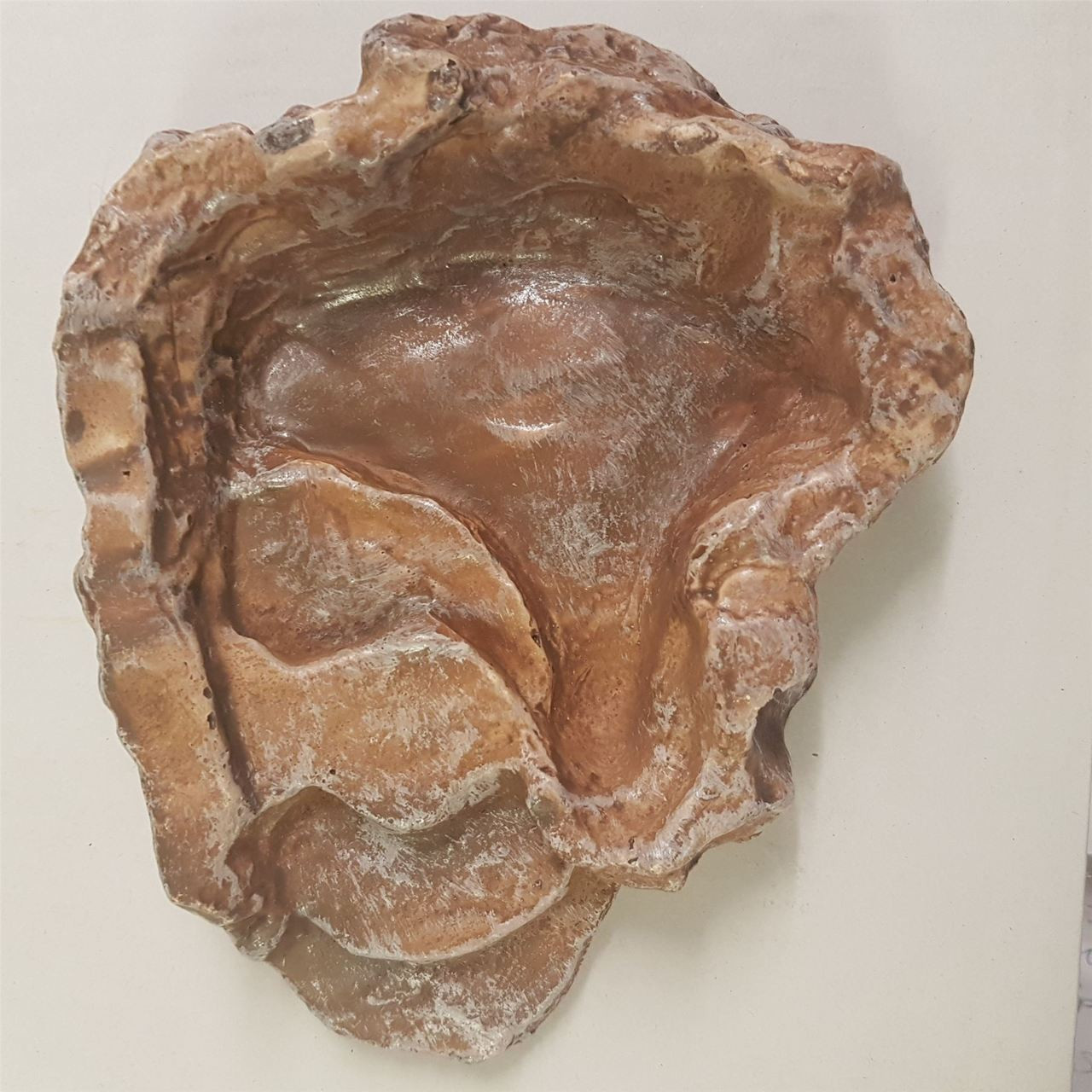 Komodo Reptile Terraced Dish - Food Or Water Bowl