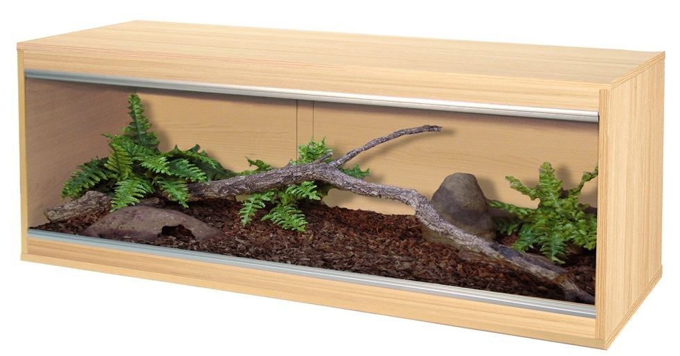 vivarium wood decor