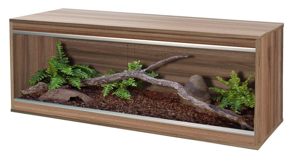 4ft vivarium starter kit