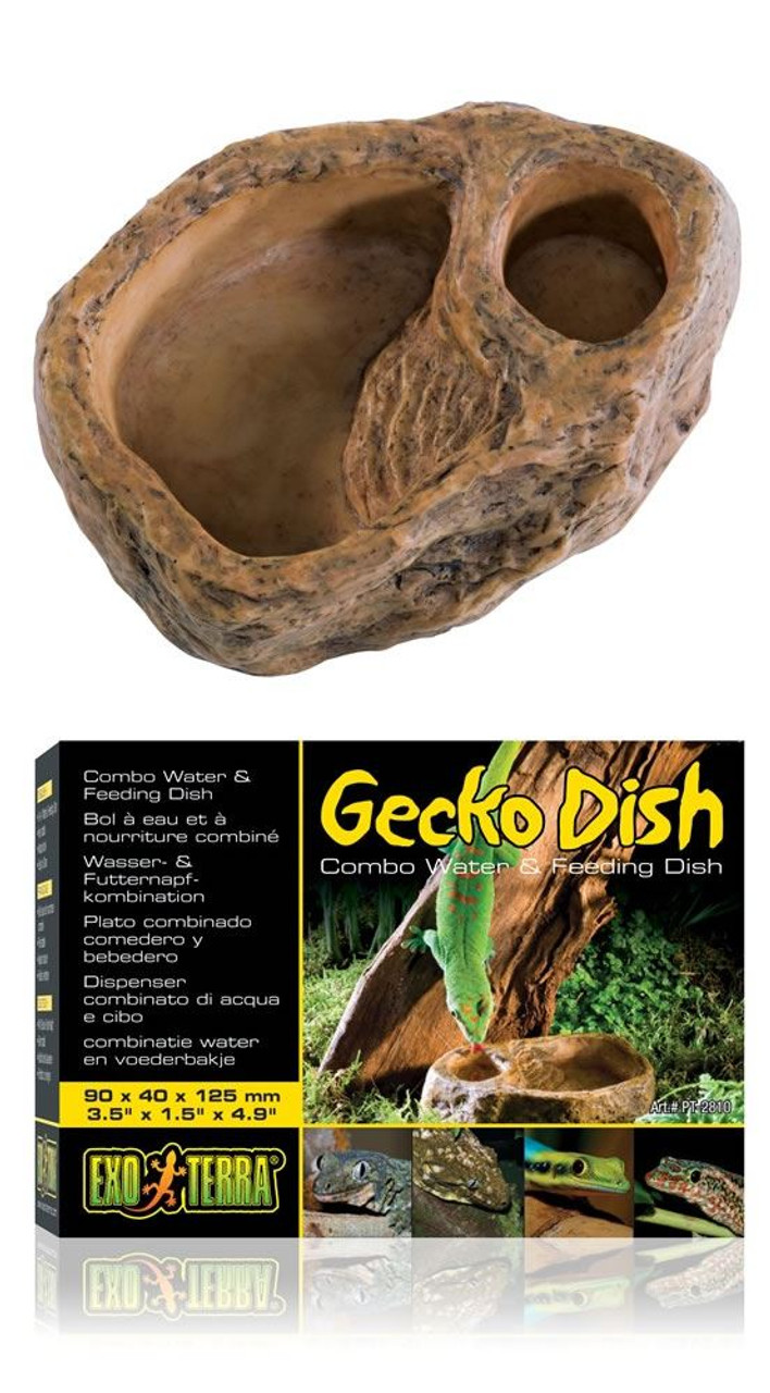 Exo Terra Gecko Water Food Dish Image
