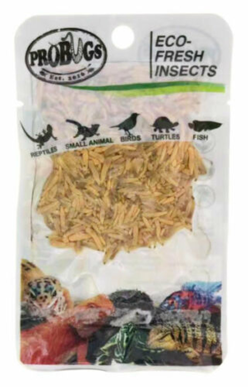 ProBugs Eco-Fresh Riceworm Insects 15g Reptile Food