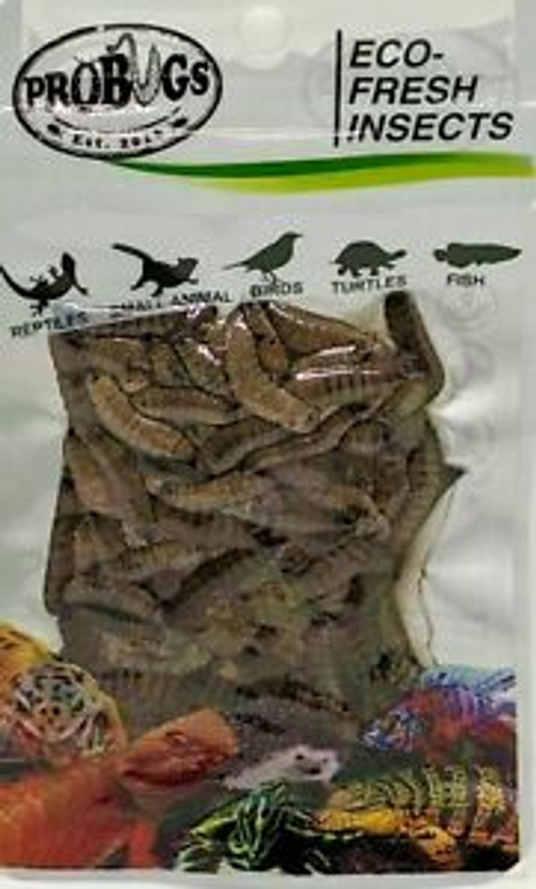 ProBugs Eco-Fresh Black Soldier Fly Insect Larvae 20g Reptile Food
