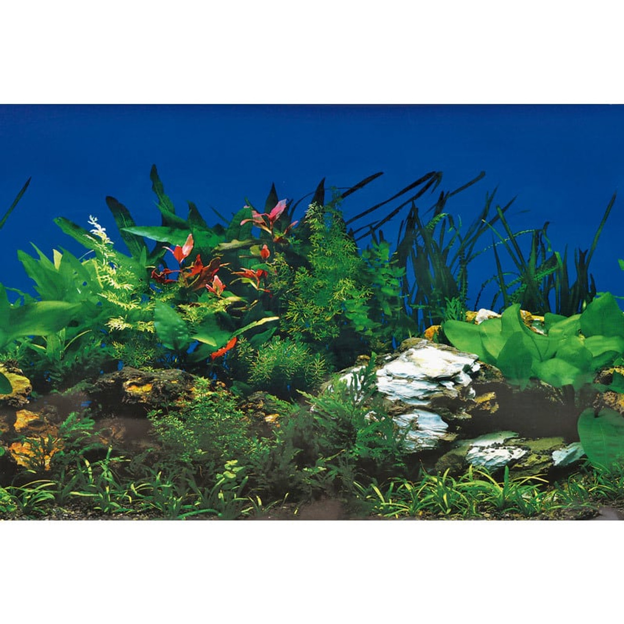 Superfish Aquarium Background Poster NR 5 150 x 49 CM (A4070765)