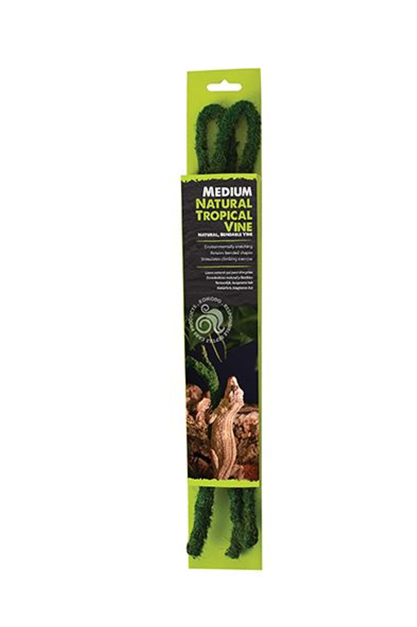 Komodo Tropical Vine Wide - 90cm x 25mm Green (82708) - package