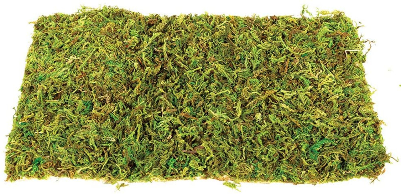 Komodo Natural Moss Mat Small Pack x 2