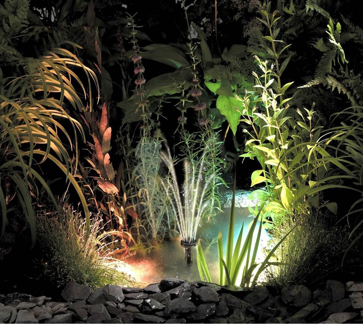tetra pond lights
