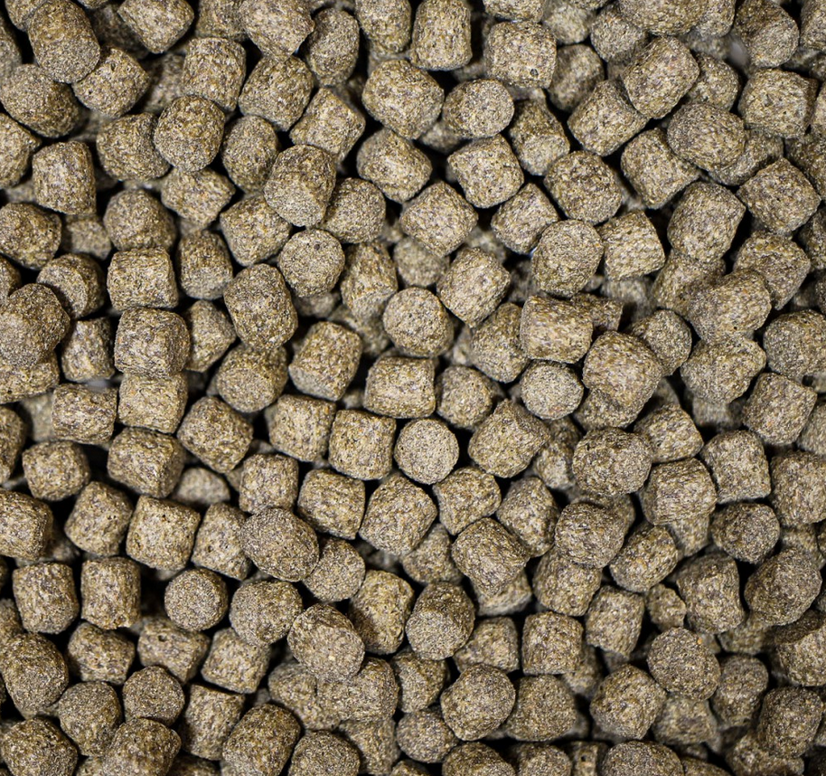 NT Labs Medikoi Probiotic Multi-Season Food 5kg 6mm Pellets