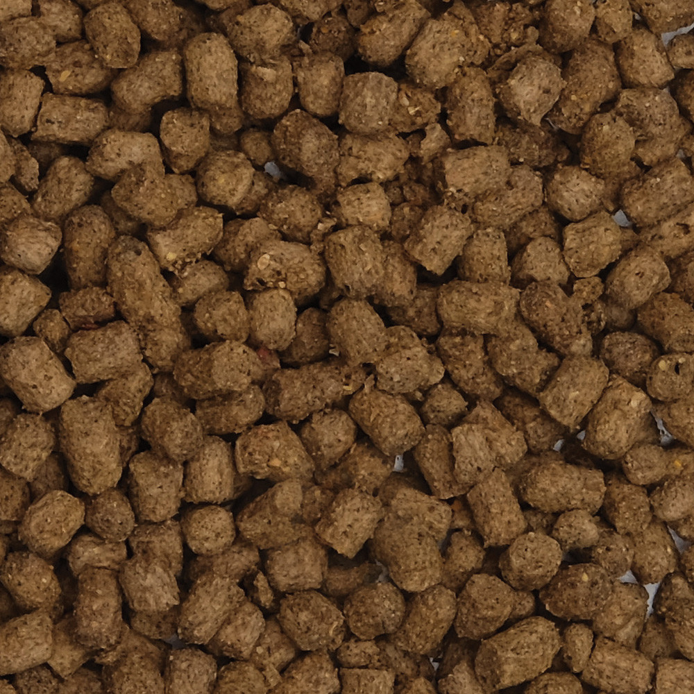 Fluval Bug Bites Goldfish Pellets 500g