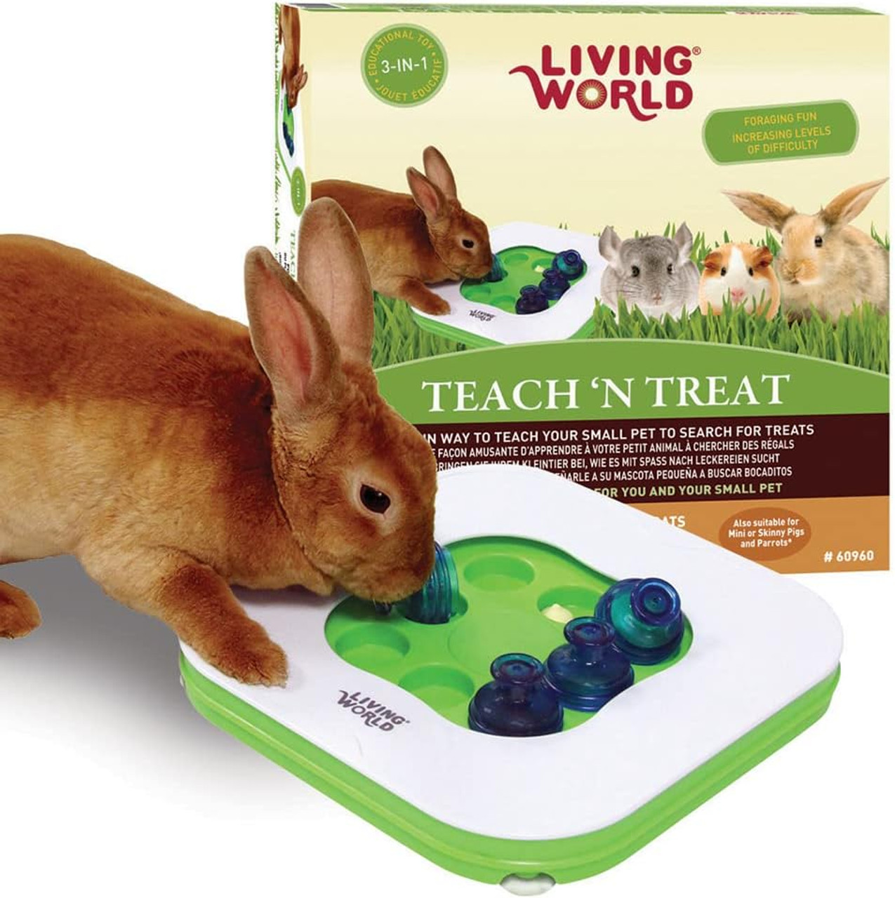 Teach N Treat Small Animal Toy box