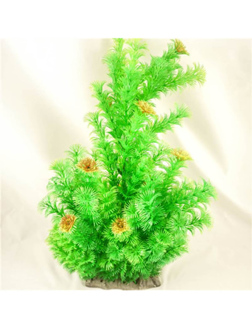 Aquarium Plants Flowered Milfoil Image