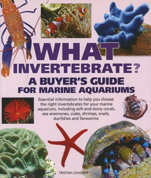What Invertebrate Book Image