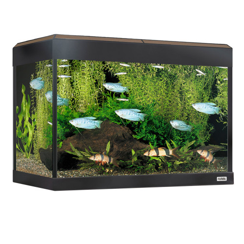 Fluval Roma 90 Aquarium Only Set Up Walnut Does Not Include Cabinet