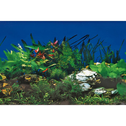 Superfish Aquarium Background Poster NR 5 150 x 61 CM (A4070770)