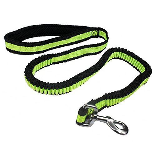 Pet Nova Bungee Dog Lead - Yellow (looks green)