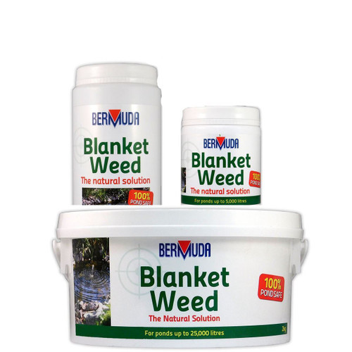 Bermuda Blanketweed treatment Group