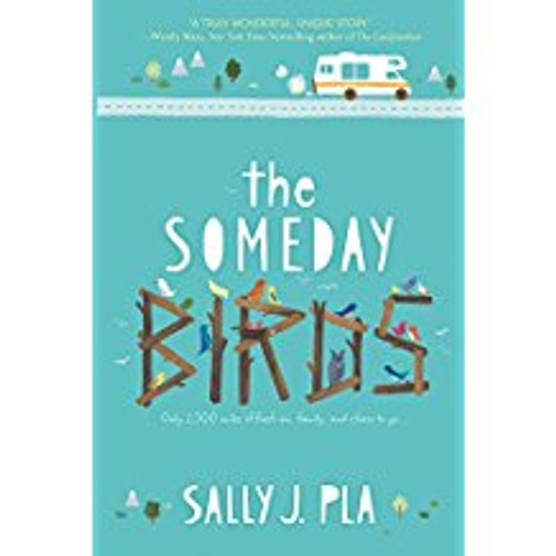 Someday Birds
