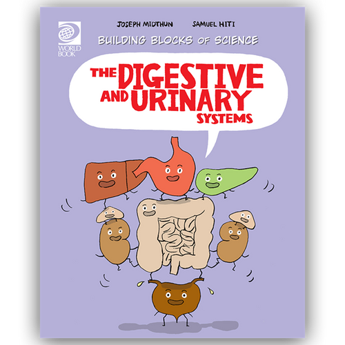 BB Human: Digestive & Urinary Sys - PB