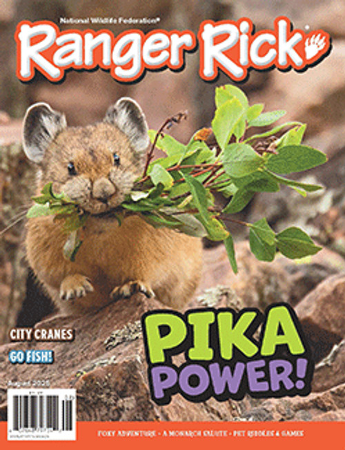 Ranger Rick Magazine