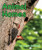 Animal Homes (Animal Anatomy & Adaptations)