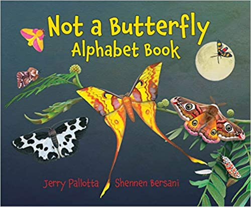 Not a Butterfly Alphabet Books