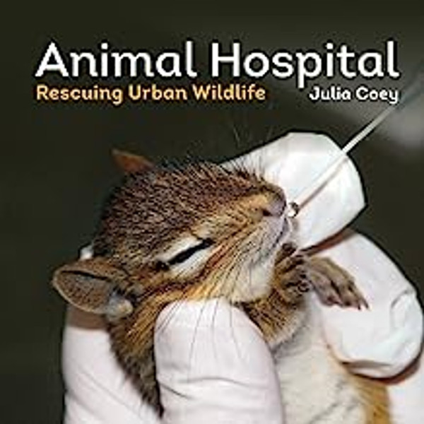 Animal Hospital: Rescuing Urban Wildlife