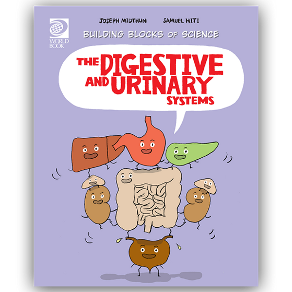 BB Human: Digestive & Urinary Sys - PB
