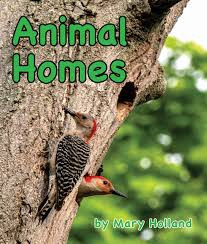 Animal Homes (Animal Anatomy &amp; Adaptations) - Blue Ribbon Book Fairs