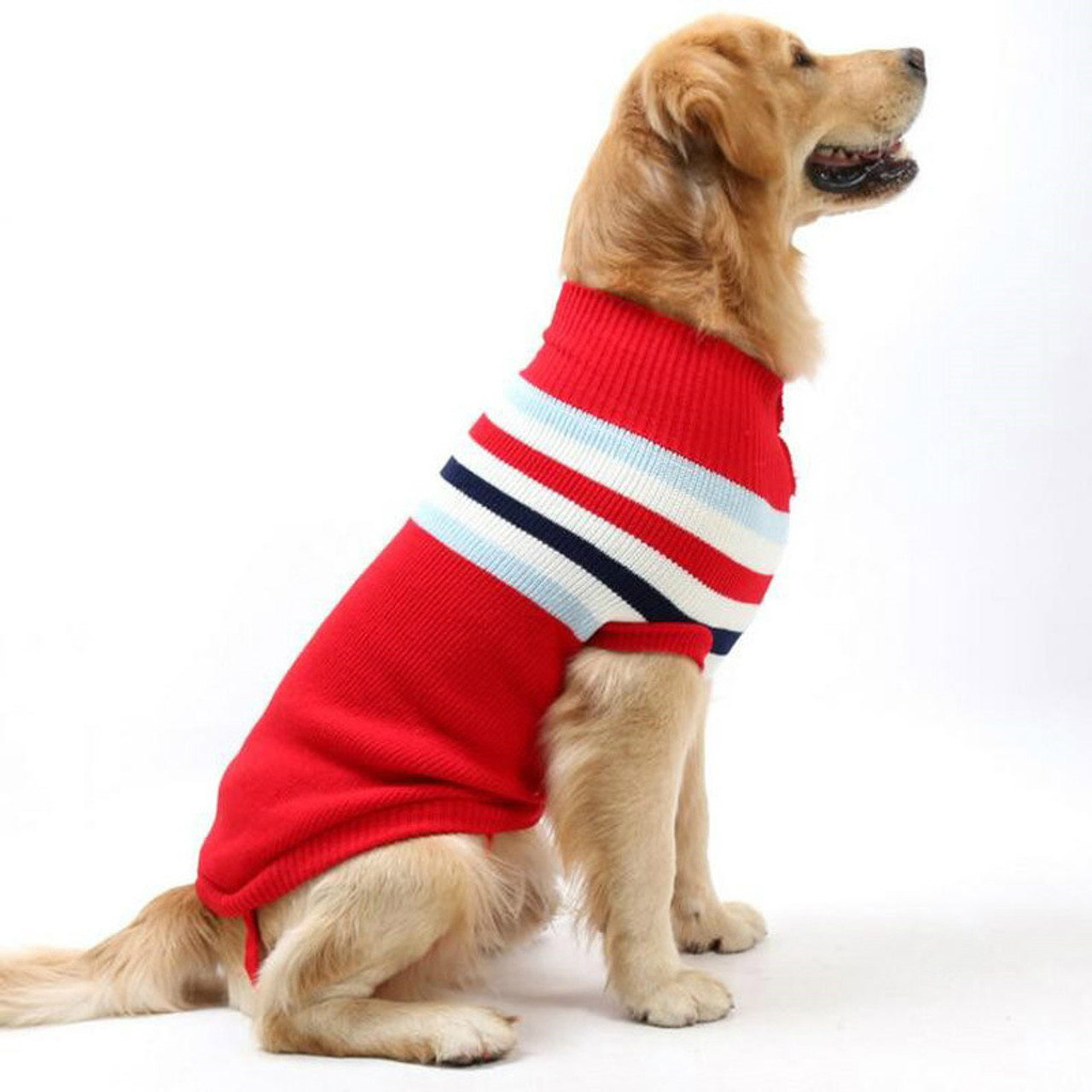 dog shirts for small dogs