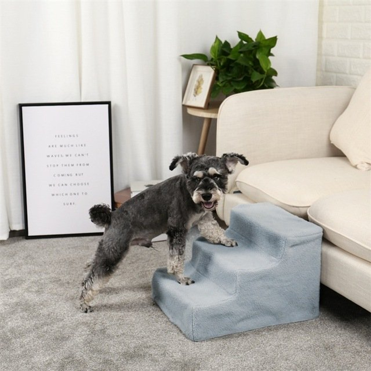 dog bed cover for couch