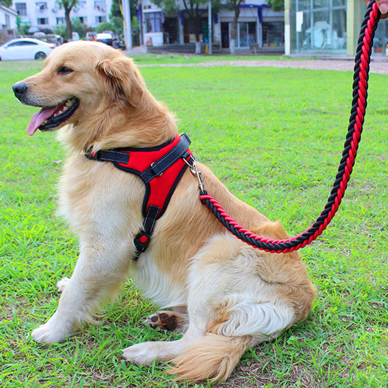 large dog harness