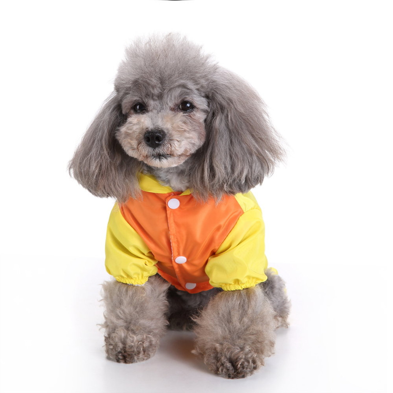 Animals Raincoat Dog Outdoor Jacket Waterproof Dog Lovely Duck