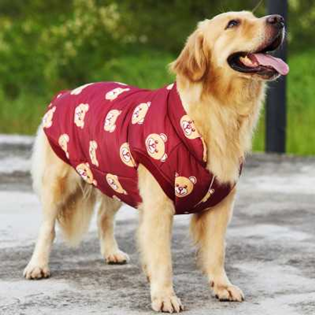 large dog apparel