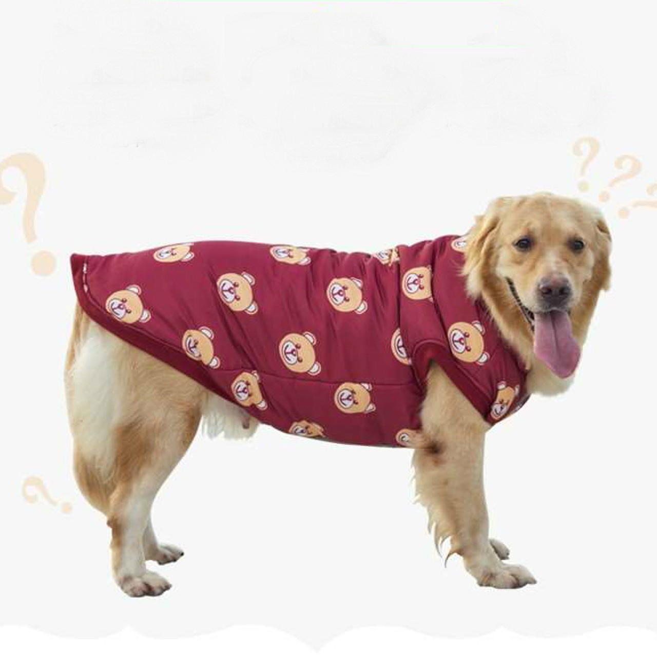 large dog apparel