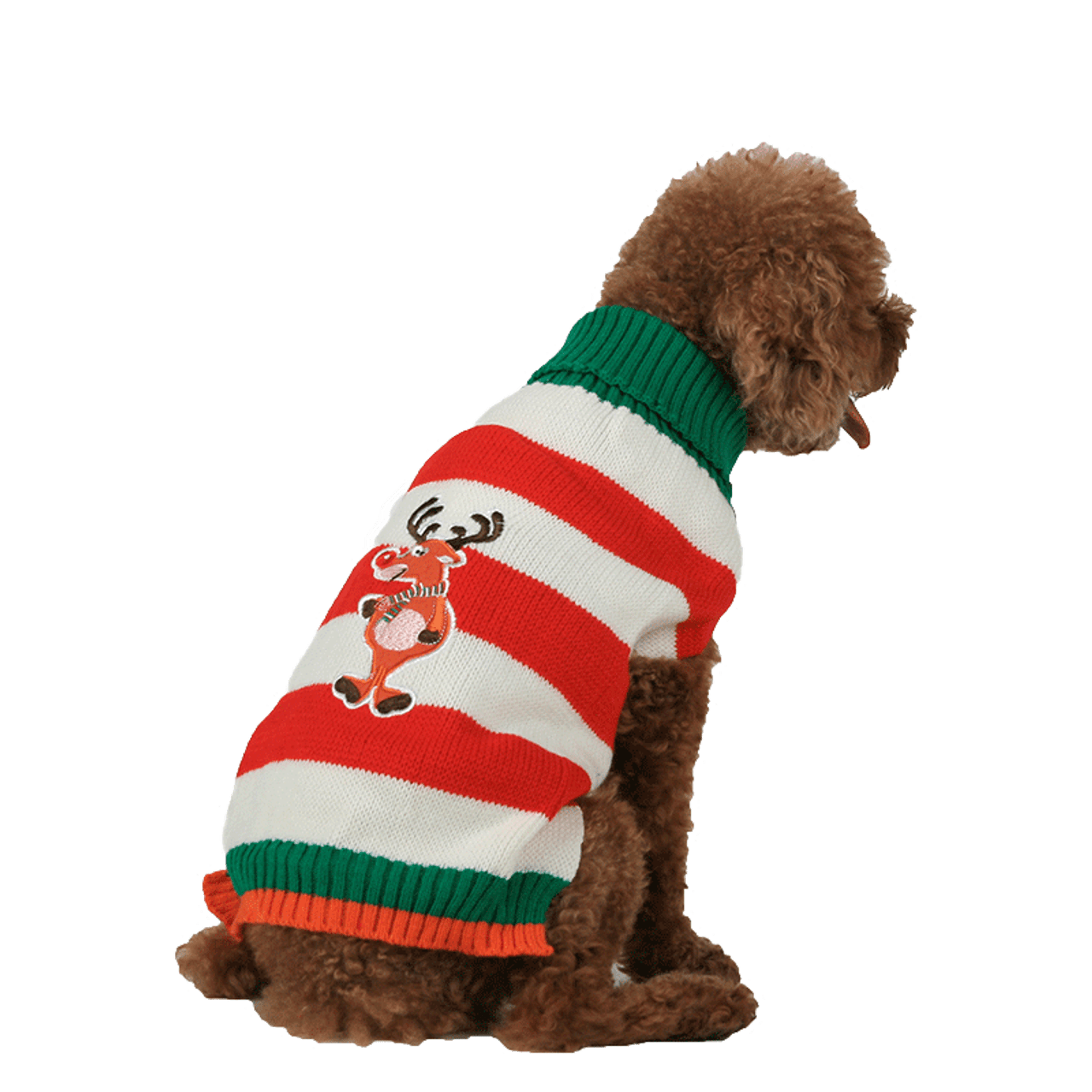 dog holiday sweaters