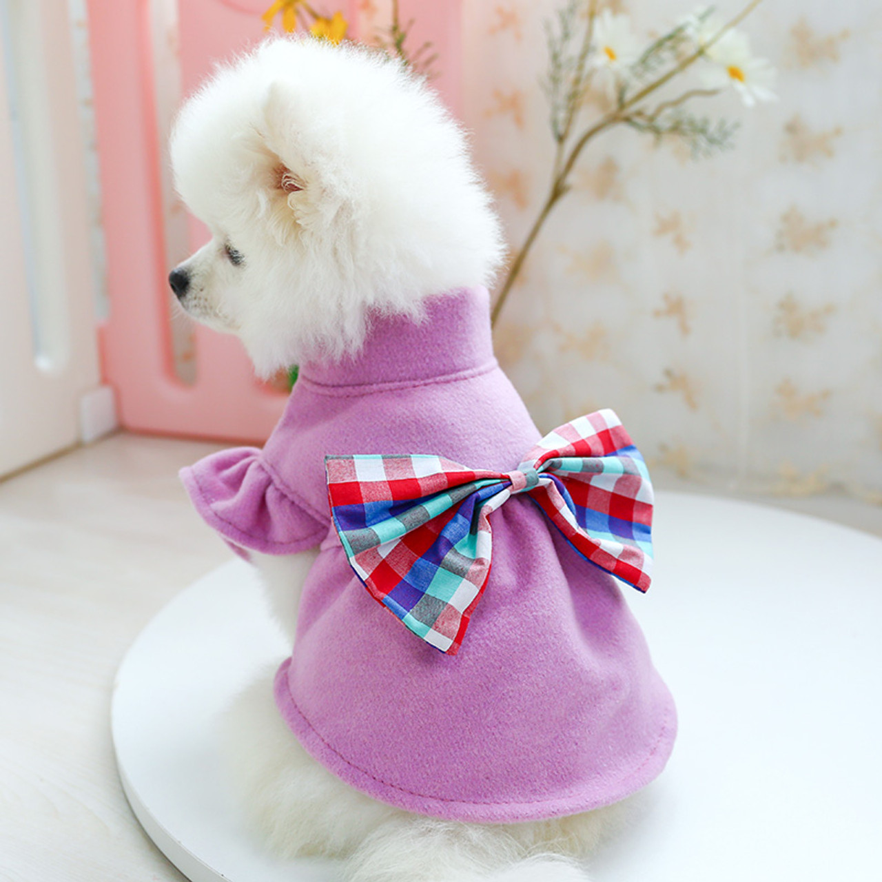 Teddy Bichon Pomeranian Pet Cat Cute Bow Skirt Small Dog Puppies