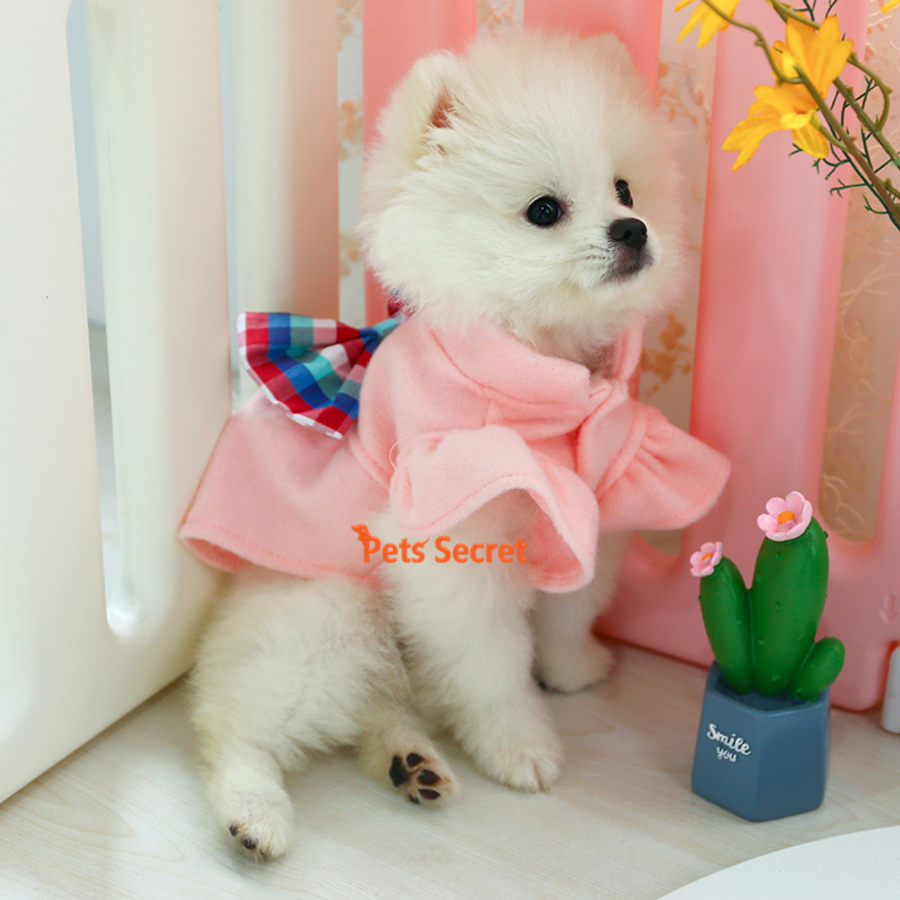 Teddy Bichon Pomeranian Pet Cat Cute Bow Skirt Small Dog Puppies