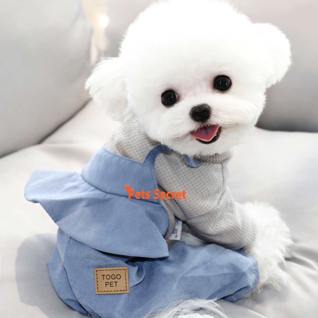 Large Dog Clothes Fashion Casual Hooded Sweatshirt Brushed Warm Cotton Coat  2022 Autumn Winter Pet Clothes Supplies - AliExpress