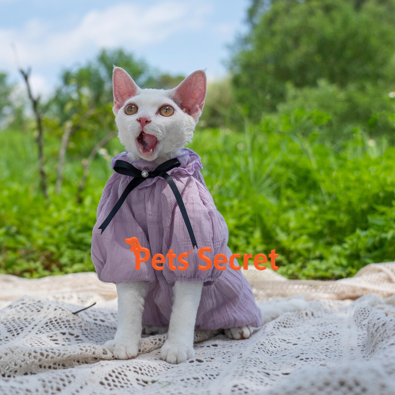 Hairless Cat Clothes Summer Baby Shirt Puff Sleeve Bowknot Cotton Shirt  for＿【並行輸入品】 Dby3NMKIVi, ペット用品、生き物 - bluegrillfoods.com