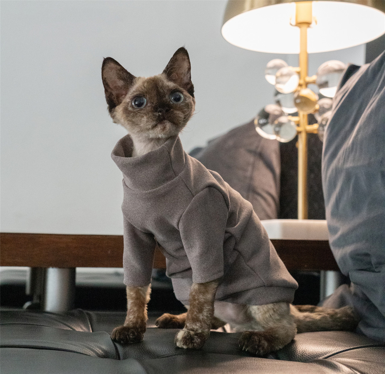 Chausie Hairless Cat Clothes Warm Inner Base Shirt Short-Hair Cat Sweater