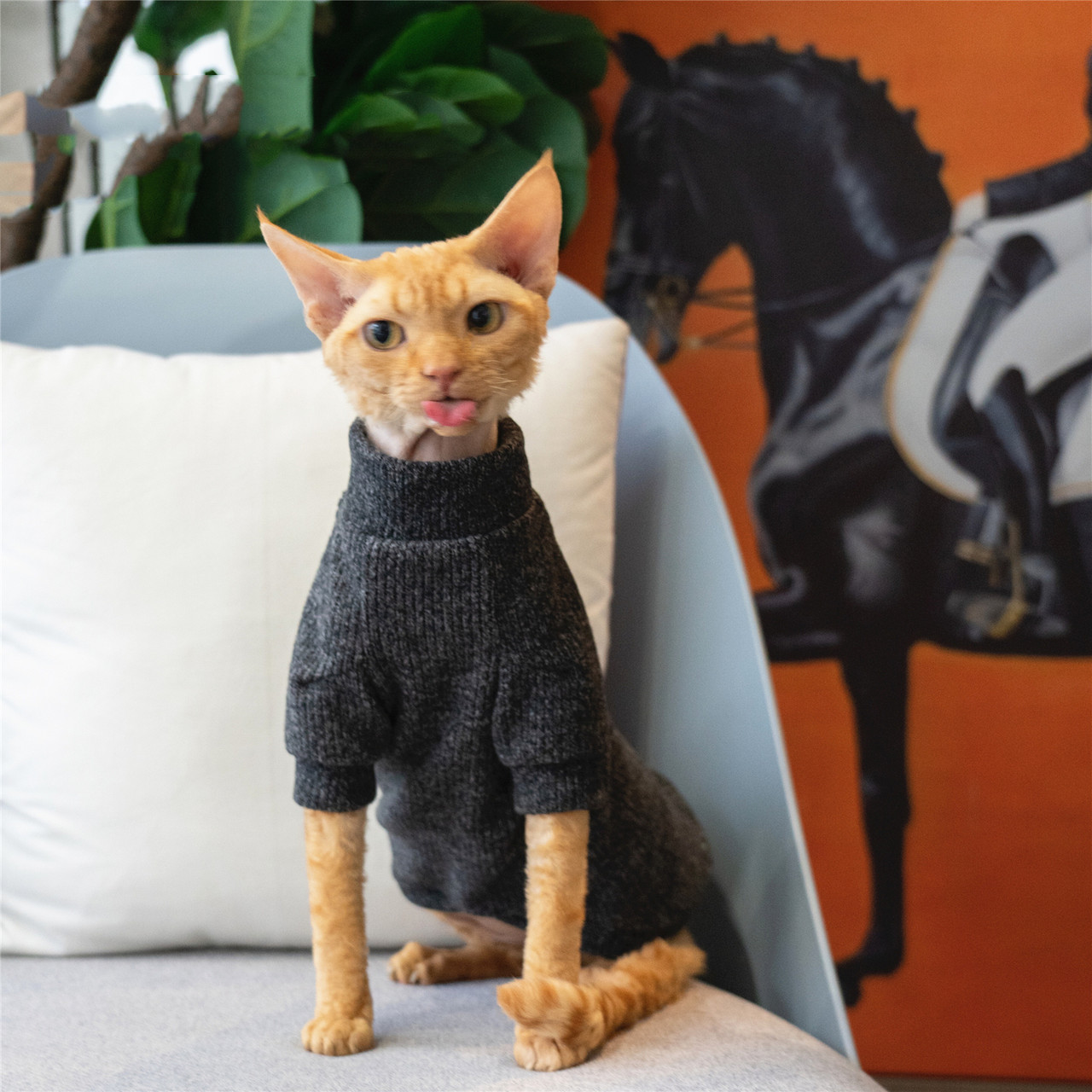 Sphynx Cat Turtleneck | Cat Turtleneck Sweater, Hairless Cat Turtleneck